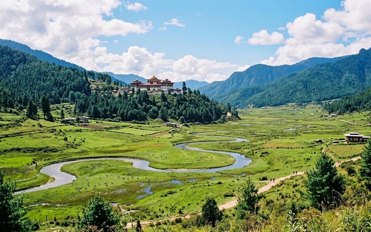 Bhutan Wildlife Guide: From Black-Necked Cranes to Snow Leopards